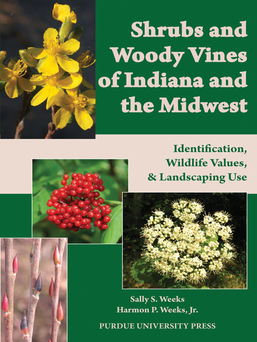 Title details for Shrubs and Woody Vines of Indiana and the Midwest by Sally S. Weeks - Wait list
